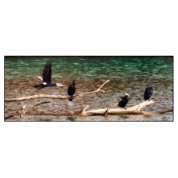 PHOTO84, CLUB, 84 , LUBERON